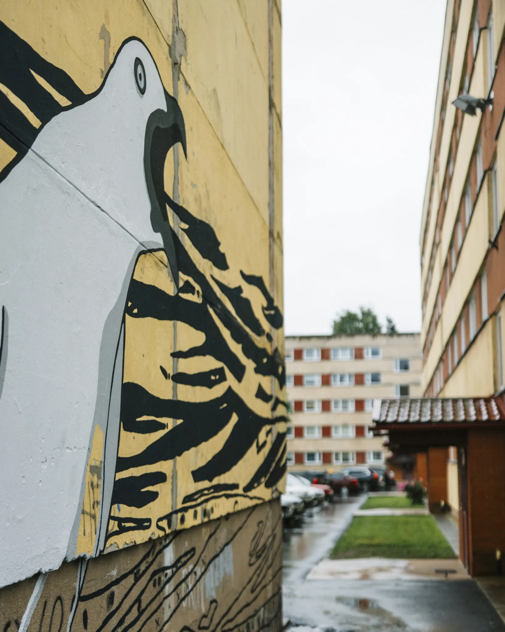  Urbaanne seinamaaling: suur valge lind musta nokaga kollasel seinal, kitsas linnaline allee. Taustal punase tellisega korterelamu ja märg tänav, peegeldades linnaelu ja tänavakunsti.