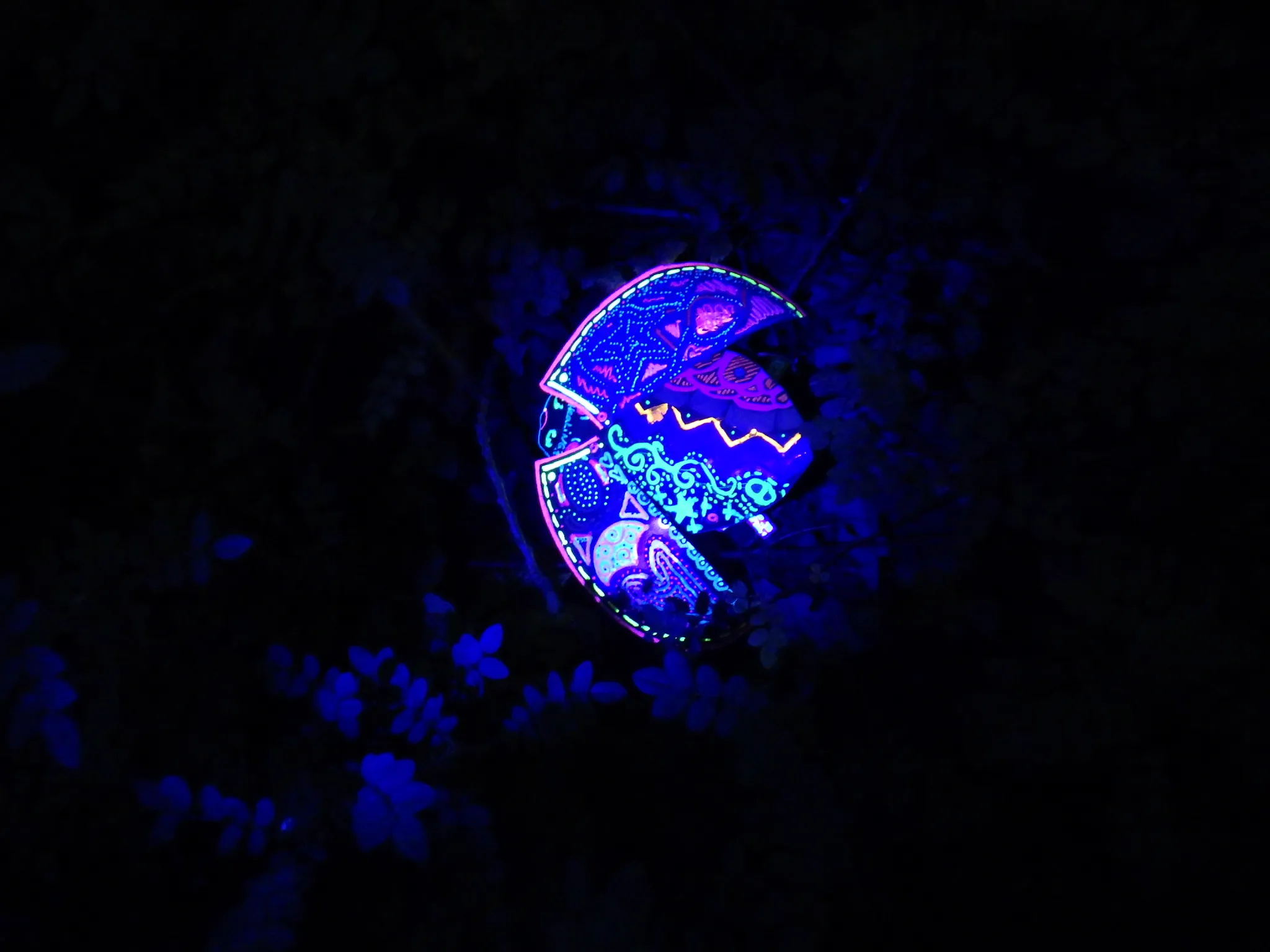 Putukate org Tartu botaanikaaias