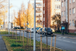 Tüve
