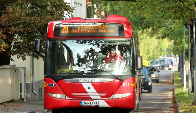 buss