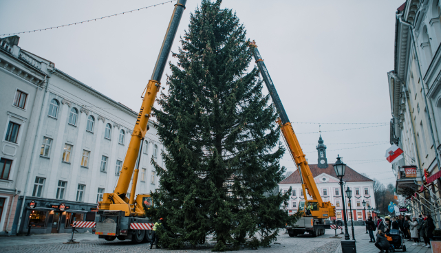 Tartu jõulukuusk