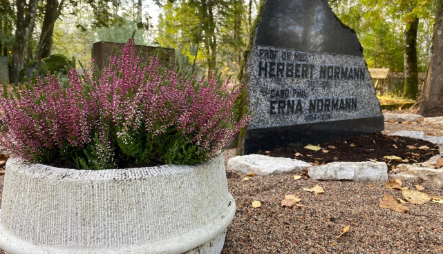 Dr Herbert Normanni hauakivi Raadi kalmistul