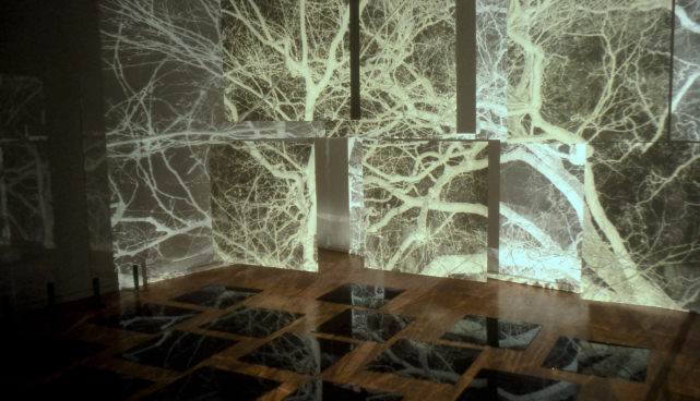 Chrisse Candolin „Fragments“ (2023)