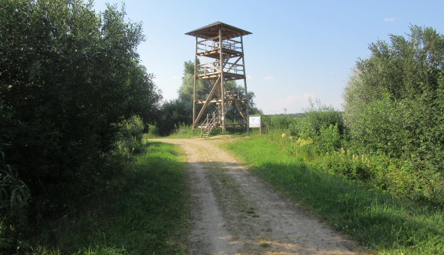 Ilmatsalu Linnutee matkarada