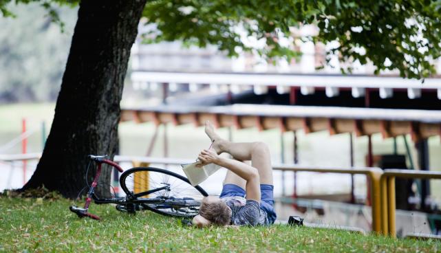 Relaxing and reading a good book