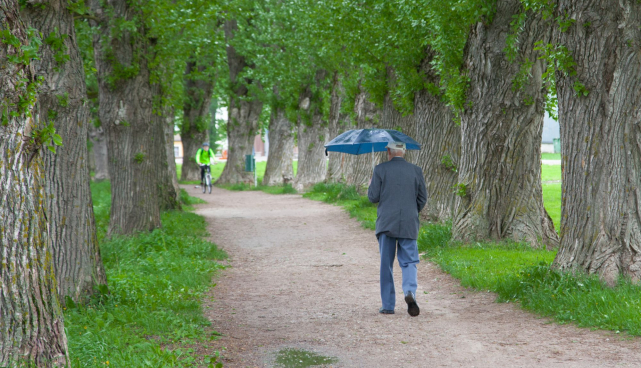 Allee