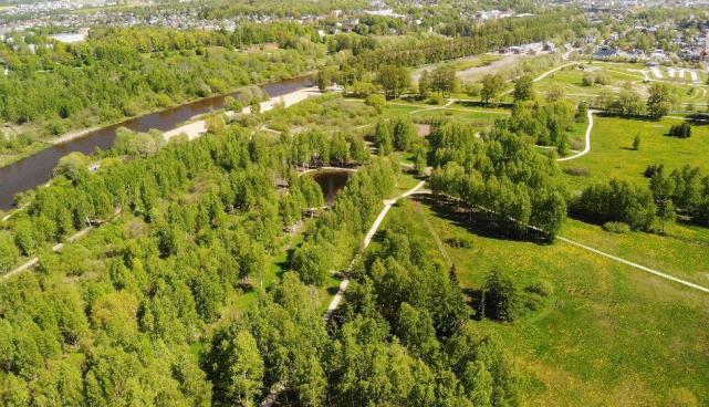Dendropark