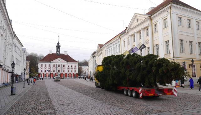 Tartu jõulupuu
