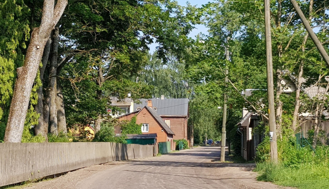 Jänese tn