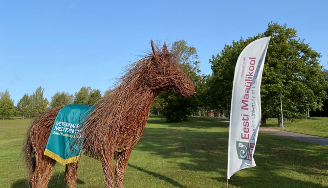 Veterinaaria 175
