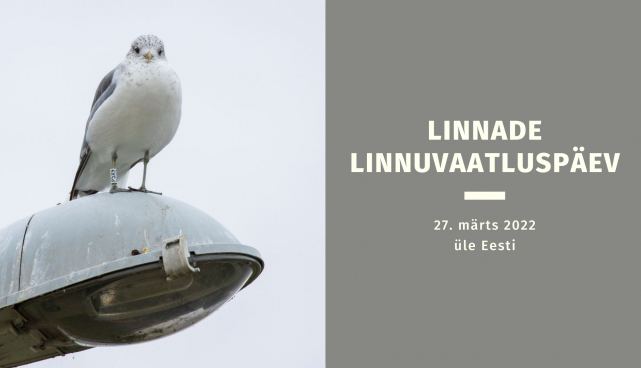 Eesti Ornitoloogiaühing kutsub loodushuvilisi osalema linnade linnuvaatluspäeval