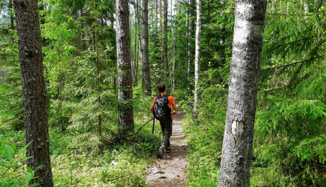 Neljal nädalavahetusel toimub kokku 62 juhendatud matka