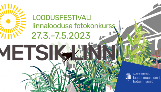 Loodusfestival kutsub osalema linnalooduse fotokonkursil "Metsik linn"