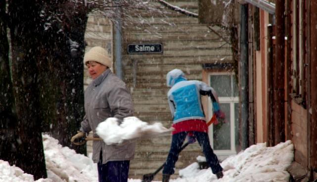 Lumekoristajad