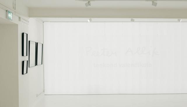 Peeter Allik "Teekond valendikule"