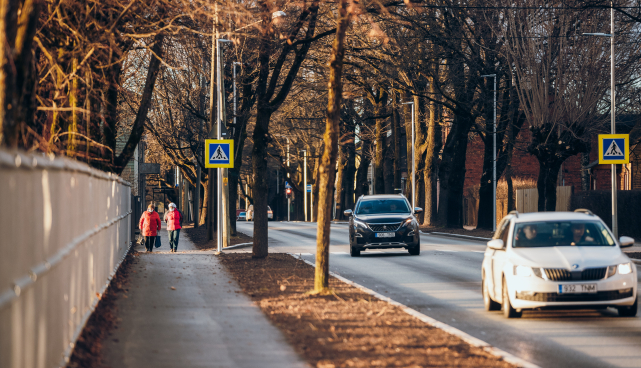 Puiestee tänava allee