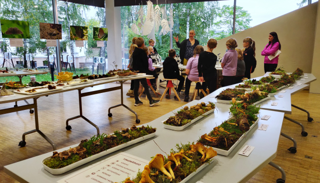 Tartu loodusmajas avati liigirikas seenenäitus vaatamata kesisele seeneaastale