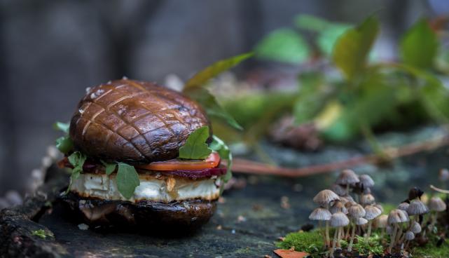 From Forest to Plate