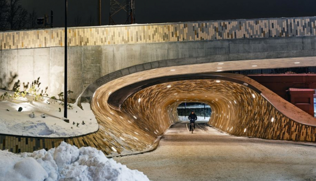 Vaksali tunnel