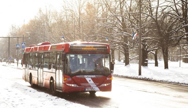 Buss
