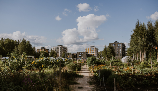 Tartu Maheaed