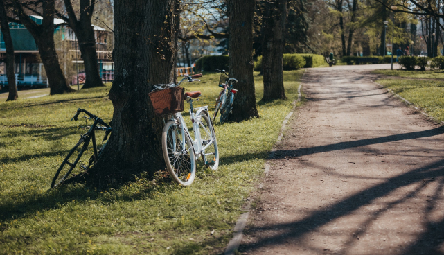 Vabaduse puiestik