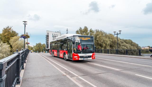 buss