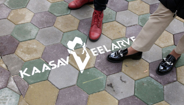 Kaasav eelarve