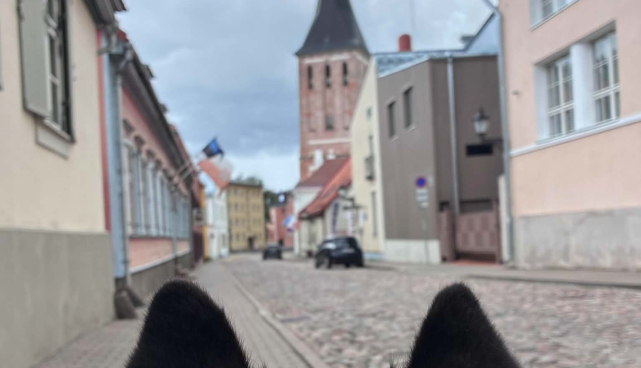 KOERAGA MUUSEUMISSE PÄEV!