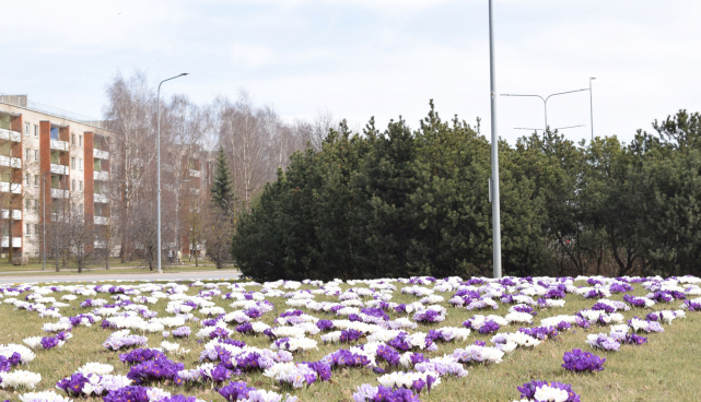 lilled Sõpruse ringil