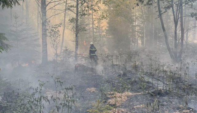 metsapõleng