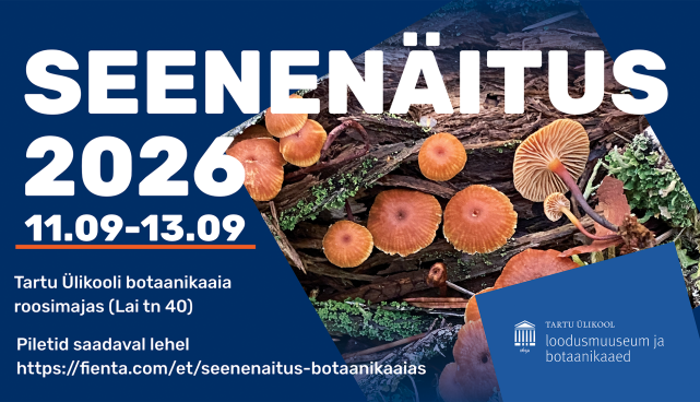 Seenenäitus