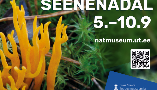 Seenenädal: seeneretk 8. septembril