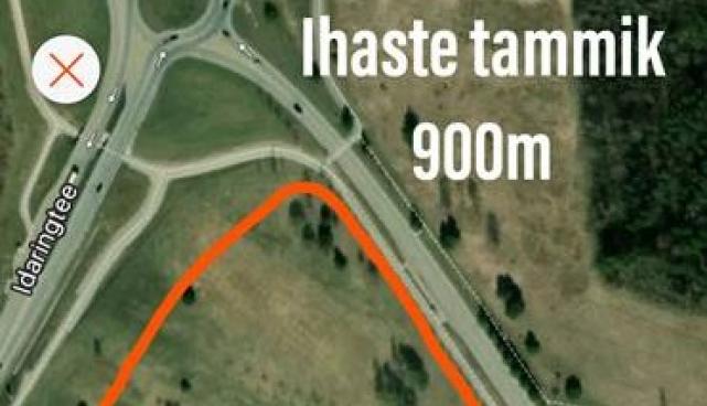 Jätkuv külm ja lumi tõid linna suusarajad