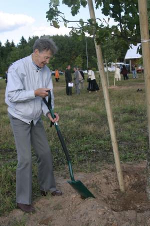 Ilmar Kullam istutamas Tartu tammikusse oma tamme 2007. aastal