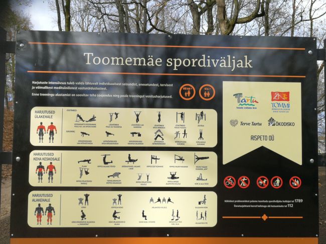 Toome väljak-vaike.jpg